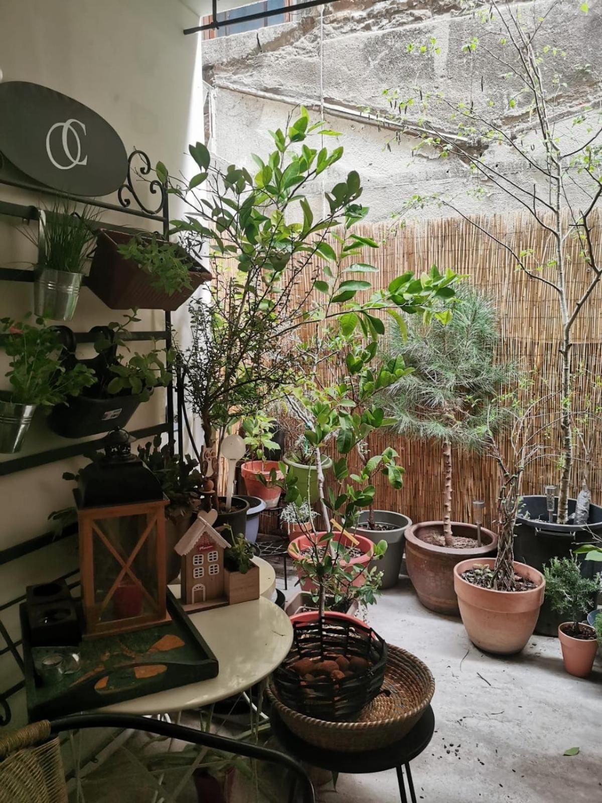 La Maison D'Aromarie Tournus Esterno foto